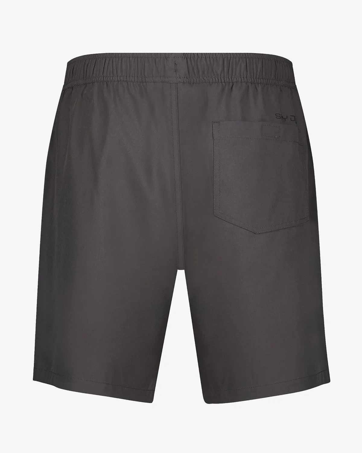 Spyder Coastal shorts Gunmetal UPF 30