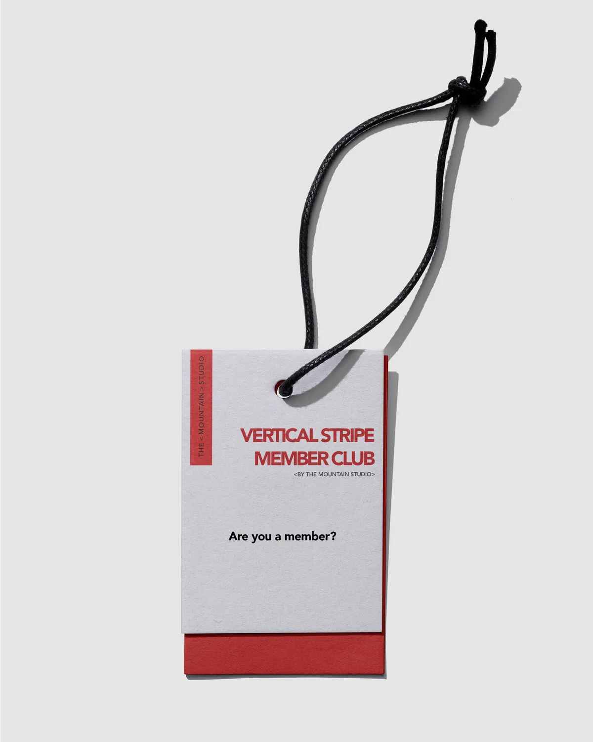 The Mountain Studio Vertical Stripe medlemskap livstid