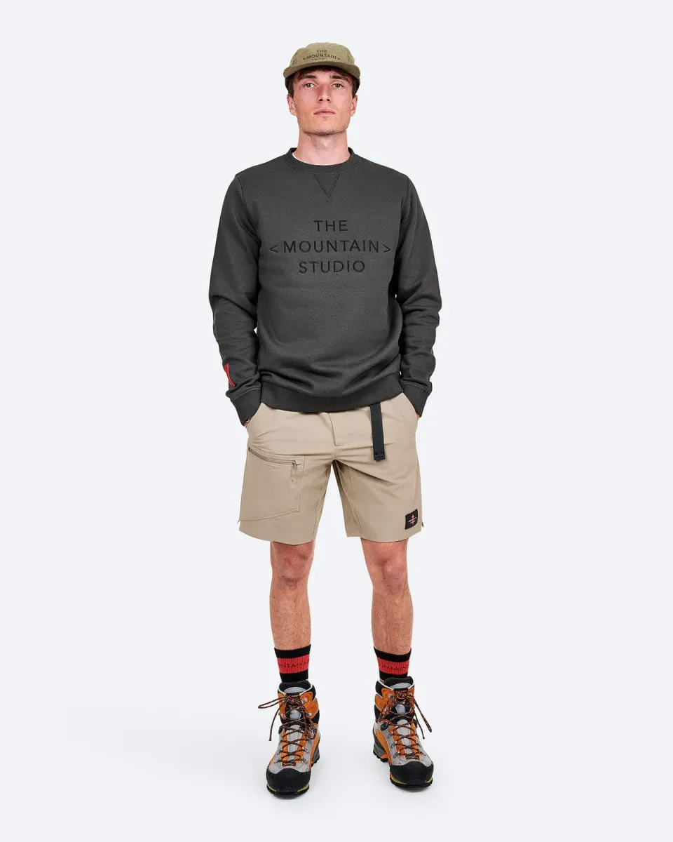 The Mountain Studio L-9 shorts Brindle