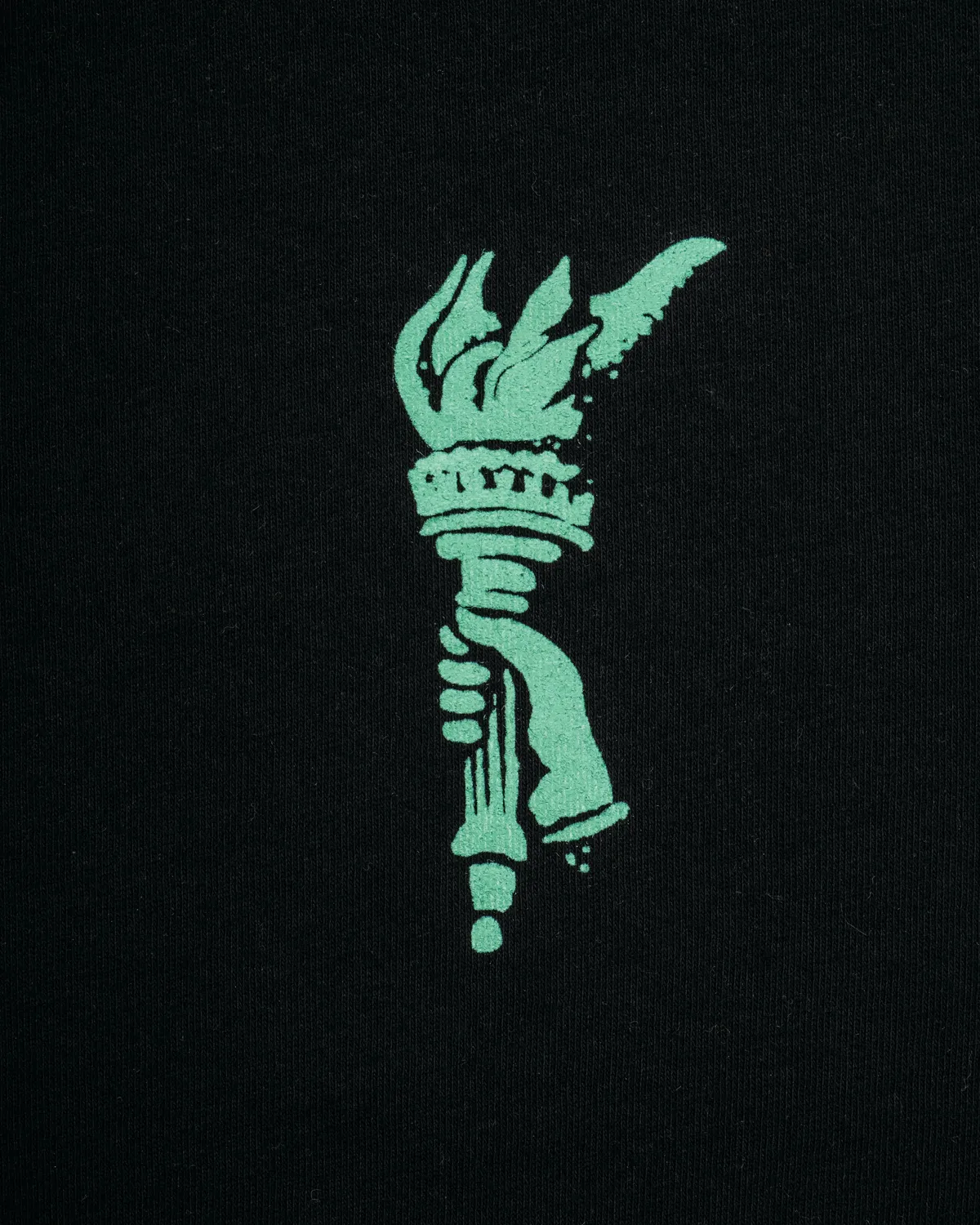Schott NYC TLIBTY t-skjorte svart mintprint